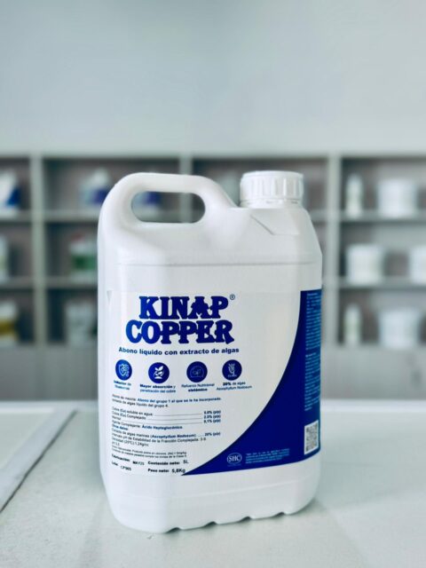 13.-Kinap Copper